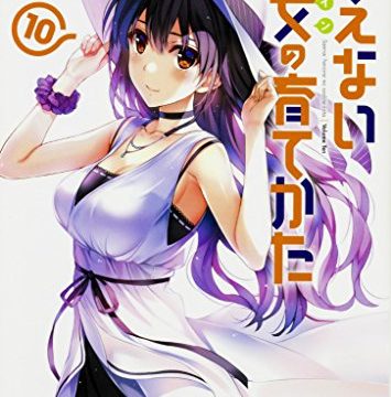 書評 冴えない彼女から学ぶ ラノベ作家になるには つんでみる 自称 株式会社ブログ